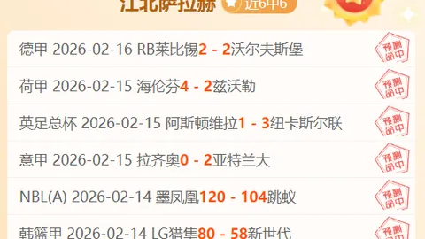 2025南沙羽毛球联赛圆满落幕，商圈体育盛宴再掀高潮